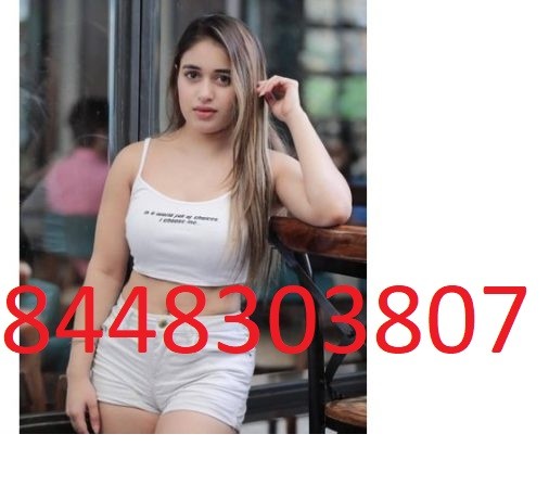 Independent Modals Escort Service In Delhi 8448303807