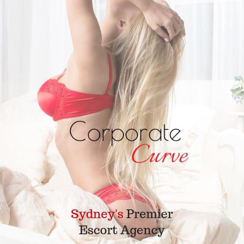 Corporate Curve - Your pleasure is our privilege