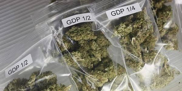 HOOKUP SEX & SELL DRUG WEED