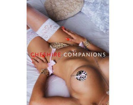 Cheshire Companions Est 1991. Best Ladies, & the best rates. Cheshire Companions Est 1991. Best Ladies, & the best rates.
